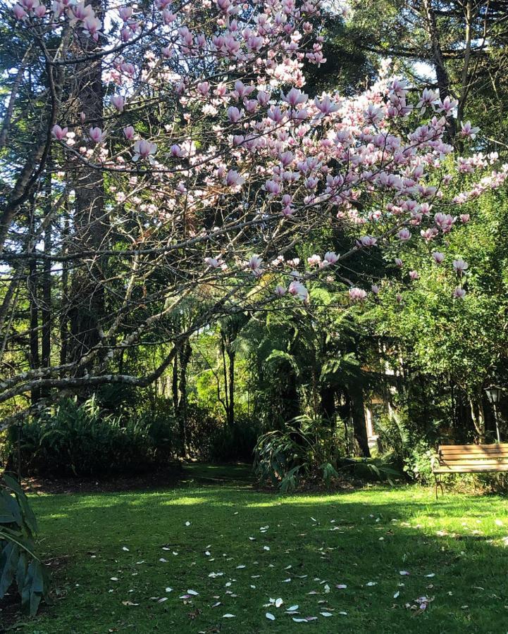 Willa Casa Goldoni Gramado Zewnętrze zdjęcie