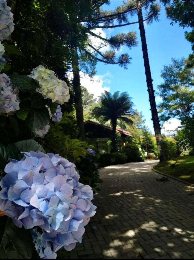 Willa Casa Goldoni Gramado Zewnętrze zdjęcie