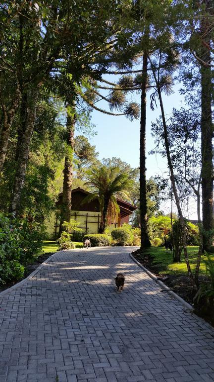 Willa Casa Goldoni Gramado Zewnętrze zdjęcie